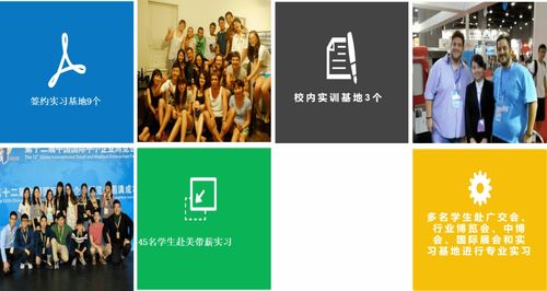 專業(yè)解讀 英語語言文化學(xué)院翻譯專業(yè)的核心價(jià)值與翻譯服務(wù)的社會(huì)角色